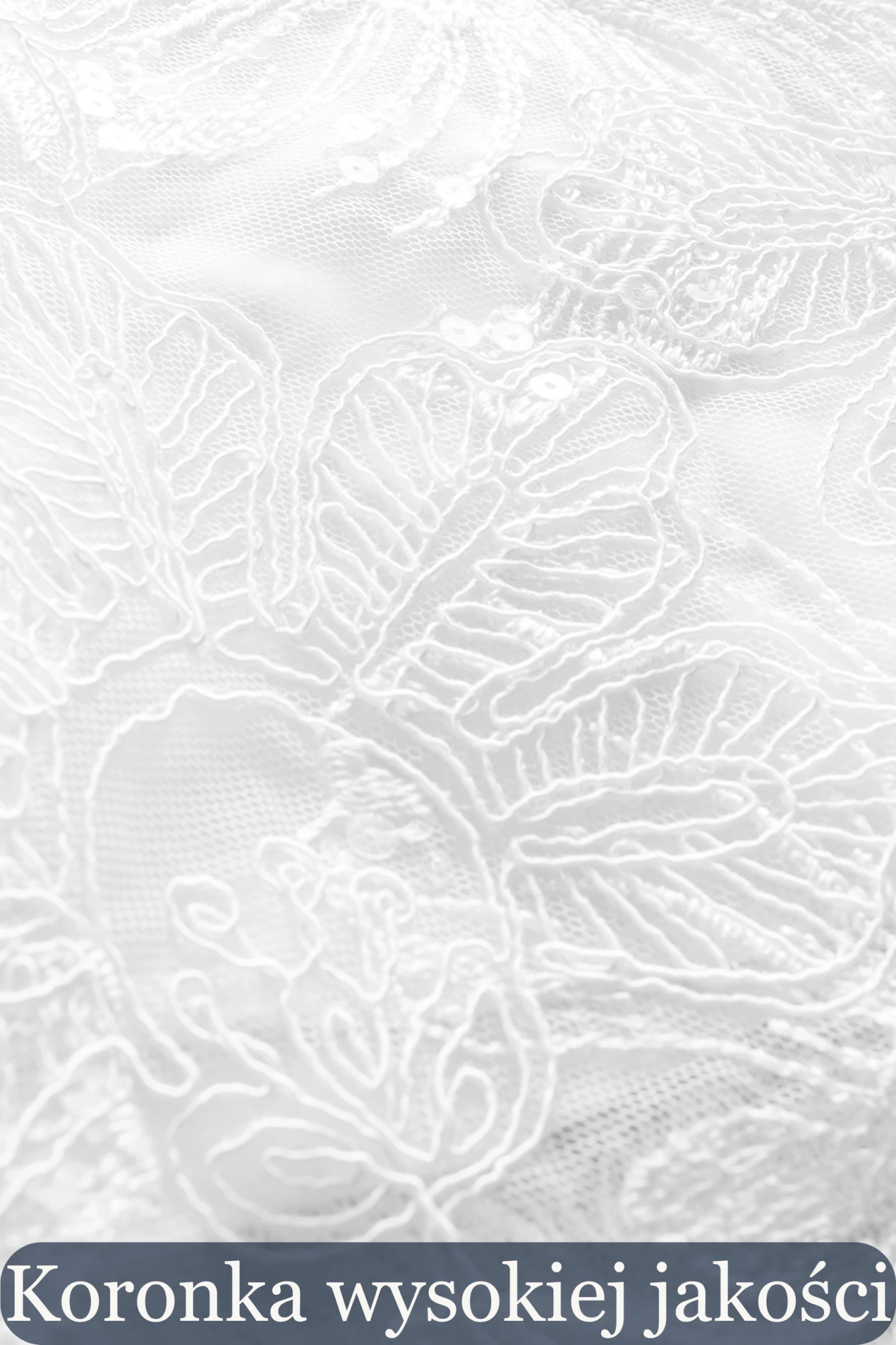 50.png