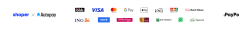 payment methods: Visa, mastercard, paypay, google pay, apple pay